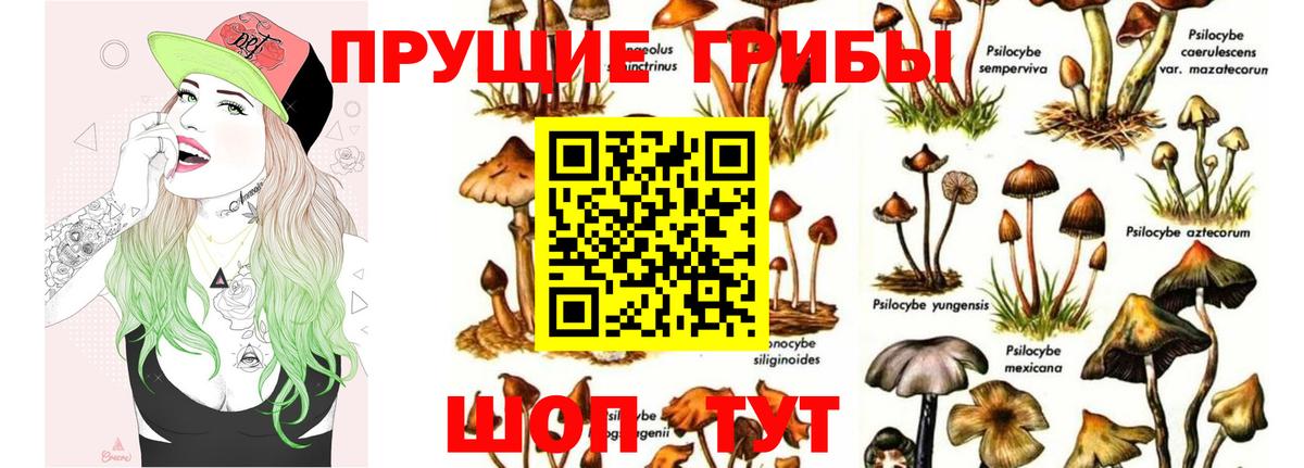 Нефтекумск  Псилоцибиновые грибы ЛСД  Вход с VPN  что такое наркотик  Галлюциногенные грибы Psilocybine cubensis 