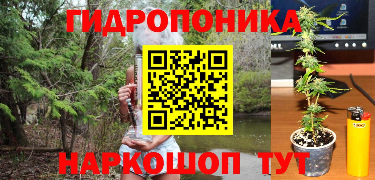 Канабис конопля Нефтекумск